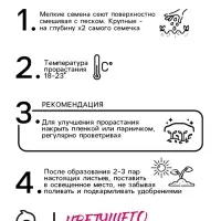 Семена цветов Колокольчик "Розовый закат", 0,1 г