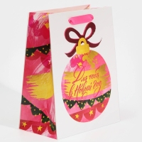 Пакет подарочный новогодний ламинированный &laquo;Для тебя в Новый Год&raquo;, MS 18 х 23 х 10 см