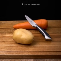 Набор кухонных ножей из 3 предметов Millennium 3SS