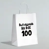 Пакет подарочный с приколами &laquo;Выглядишь на все 100&raquo;, 24&times;14&times;28 см