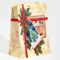 Пакет подарочный новогодний ламинированный &laquo;С Новым годом!&raquo;, MS 18 х 23 х 8 см