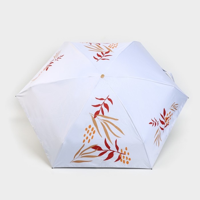 Зонт женский &laquo;Осеннее настроение&raquo;, 6 спиц, складывается в размер телефона.