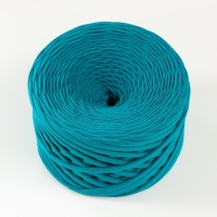 Трикотажная пряжа, ширина 7-9 мм, 100м/295 гр&plusmn;10% (27 - морская волна)