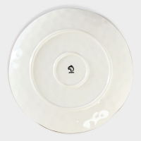 Тарелка фарфоровая Доляна &laquo;Космос&raquo;, d=27,5 см, цвет белый