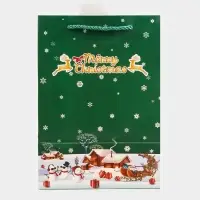 Пакет подарочный ламинированный с окном &laquo;Новый Год&raquo;, тиснение, 18&times;25&times;13 см, зеленый