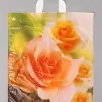 Пакет подарочный Утренняя роза 42 х 38 см 37 мкм