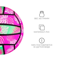 Мяч детский &laquo;Волейбол&raquo;, d=22 см