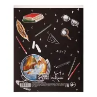 Тетрадь предметная 48 листов в клетку, Calligrata &laquo;Доска. История&raquo;, обложка мелованный картон