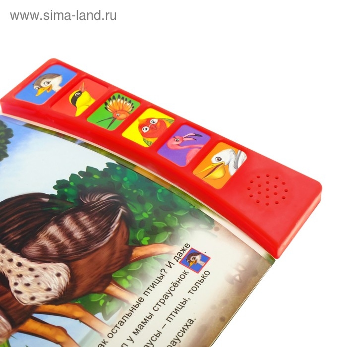 Музыкальная книга &laquo;Страусёнок&raquo;, 12 стр.