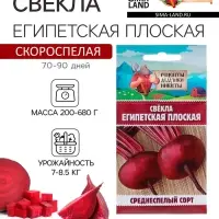 Семена Свекла &laquo;Египетская плоская&raquo;, 2 г