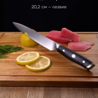 Набор кухонных ножей с подставкой и точилкой Сook Master 5SS