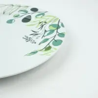 Тарелка керамическая &laquo;Природные мотивы&raquo;, d=22 см