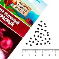 Семена Лук репчатый &laquo;Красный&raquo;, 0.3 г