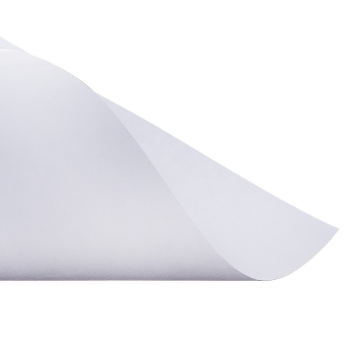 Набор ватманов чертёжных А3, 160 г/м&sup2;, 10 листов