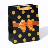 Пакет ламинированный &laquo; Горох на черном&raquo;, MS 18 &times; 23 &times; 10 см