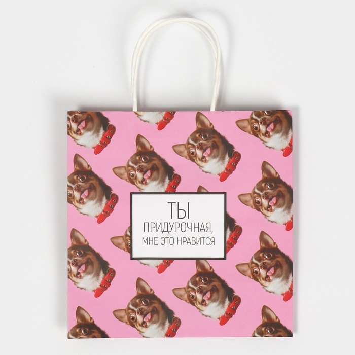 Пакет подарочный, упаковка, &laquo;Киса&raquo;, 22 х 22 х 11 см