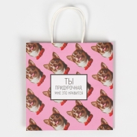 Пакет подарочный, упаковка, &laquo;Киса&raquo;, 22 х 22 х 11 см
