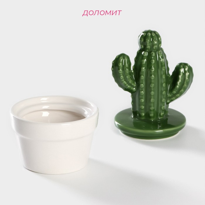 Банка для хранения сыпучих продуктов Доляна &laquo;Кактус&raquo;, 150 мл, 8&times;8&times;14 см, керамическая