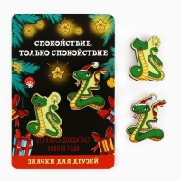 Значки новогодние &laquo;Новый год: две змейки&raquo;, набор, 2 шт