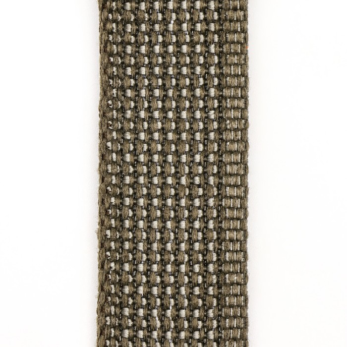 Поводок брезентовый 3 м х 2,5 см, тёмно-зелёный