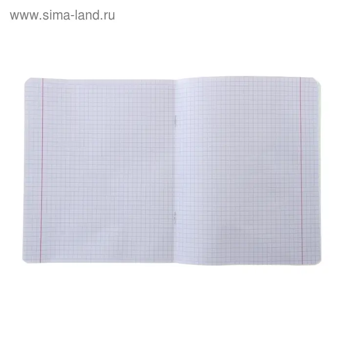 Тетрадь 12 листов клетка &laquo;Великолепная пятёрка&raquo;, бумажная обложка, МИКС