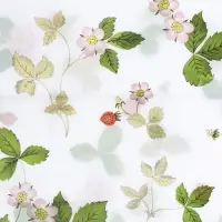 Бумага упаковочная тишью, &laquo;Весенний сад&raquo;, 50 см &times; 70 см 17 грамм