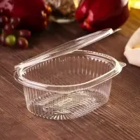 Контейнер одноразовый с неразъёмной крышкой ПР-РКС &laquo;АВС&raquo;, 500 мл, пластик, 15.9&times;13&times;5.5 см, прозрачный