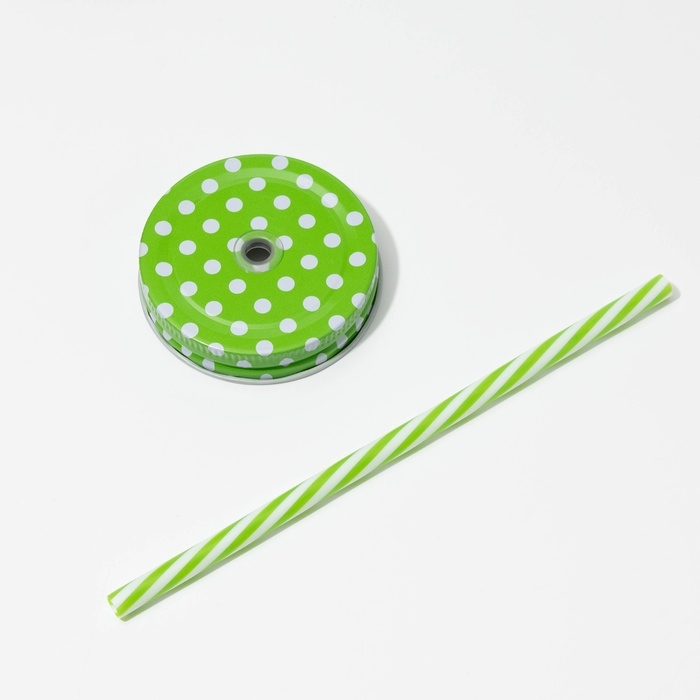 Кружка стеклянная с крышкой и трубочкой &laquo;Сова&raquo;, 470 мл, 10&times;11,5&times;12,5 см, цвет МИКС