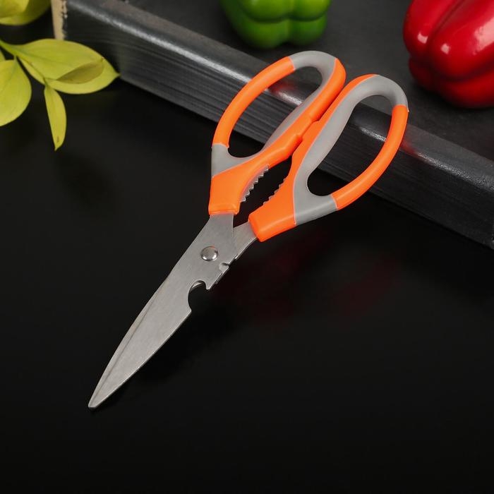 Ножницы кухонные Доляна &laquo;Драйв&raquo;, 22 см, с открывалкой для бутылки, цвет МИКС
