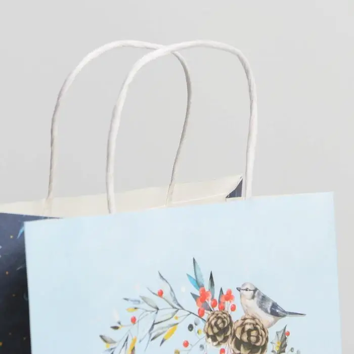 Пакет подарочный новогодний крафтовый &laquo;Морозное утро&raquo;, 22 х 25 х 12 см