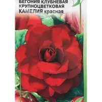 Семена цветов Бегония крупноцвет "Камелия",  красная,     10 шт