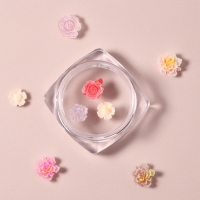 Фигурки для дизайна ногтей &laquo;Цветочный рай&raquo;, объёмные, МИКС