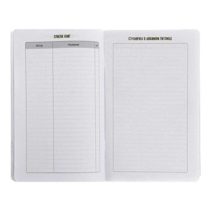 Записная книжка для мальчиков 130 х 210 мм, 56 листов в линейку "Анимэ", обложка мелованный картон, ламинация Soft-Touch, выборочный УФ-лак