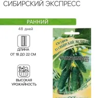 Семена Огурец "Сибирский экспресс", F1, 10 шт