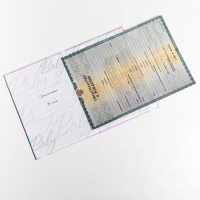 Папка для свидетельства о рождении &laquo;Наш малыш&raquo;, А5