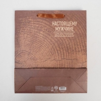 Пакет подарочный крафтовый вертикальный, упаковка, &laquo;Нереальных высот&raquo;, M 25.5 х 30 х 9 см