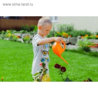 Лейка, 1 л, без рассеивателя, &laquo;Малютка&raquo;, МИКС