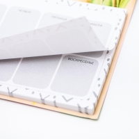 Планер с отрывными листами, 50 л. 17х9см &laquo;С 8 Марта тюльпаны&raquo;