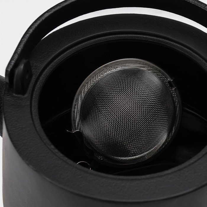 Чайник для плиты с эмалированным покрытием внутри Magma &laquo;Сайгон&raquo;, 1,1 л, чугун, с ситом, индукция, цвет чёрный