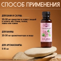 Ароматизатор для бани и ванны &laquo;Душица&raquo;, натуральная, 100 мл, "Добропаровъ"