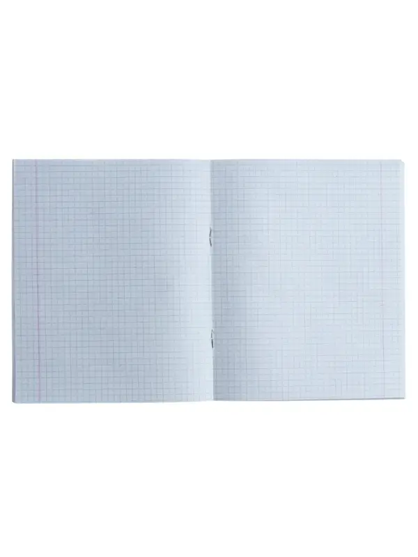 Тетрадь предметная, 36 листов в клетку, Calligrata &laquo;MonoTone. История&raquo;, серые листы