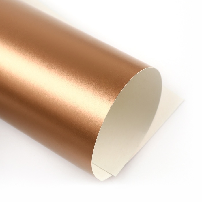 Картон цветной, А4, 15 листов, 15 цветов, мелованный, односторонний, в папке, 220 г/м&sup2;, Щенячий патруль