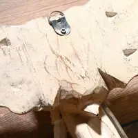 Сувенир дерево "Голова слона" 28х26х10,5 см