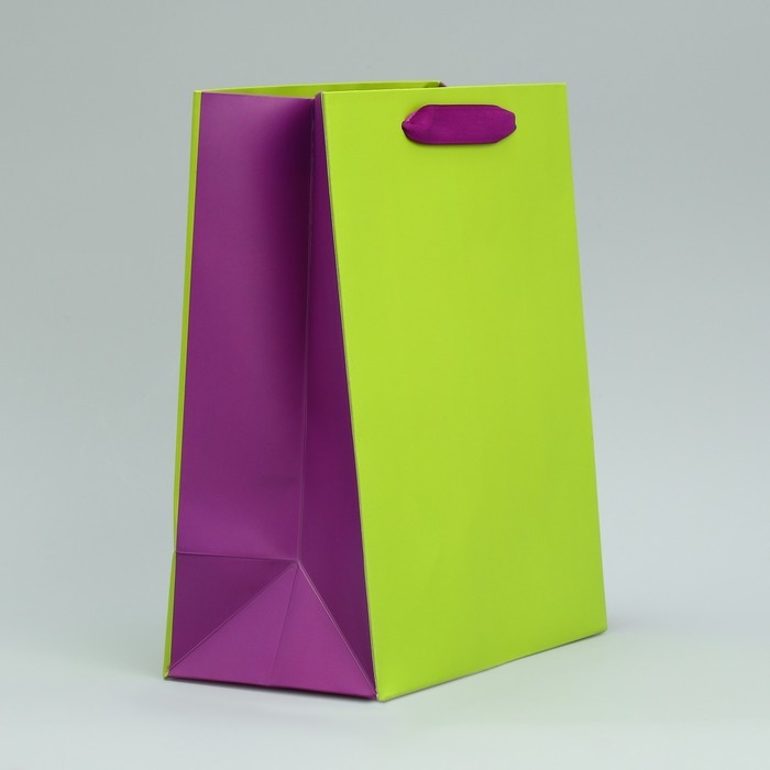 Пакет подарочный двухцветный, упаковка, &laquo;Салатовый-сиреневый&raquo;, MS 18 х 23 х 10 см
