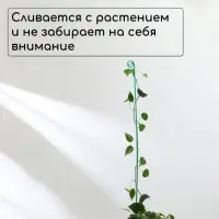 Колышек для подвязки растений, h=100 см, d=3 мм см, проволочный, зелёный, Greengo