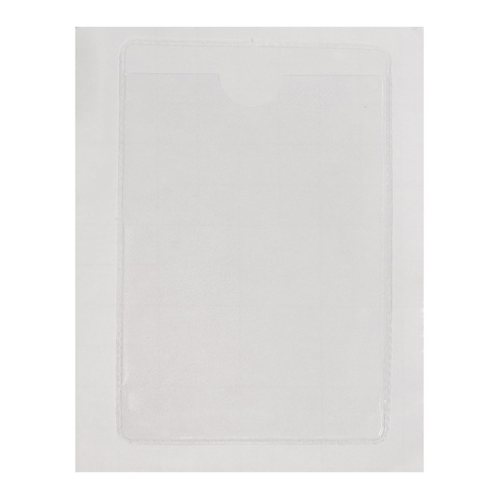 Карман самоклеящийся 65 х 98 мм, комплект 10 штук, для визитных карточек Calligrata, 110 мкм