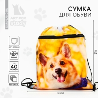 Мешок для обуви &laquo;Забавный корги&raquo; 2 секции, 30&times;40 см