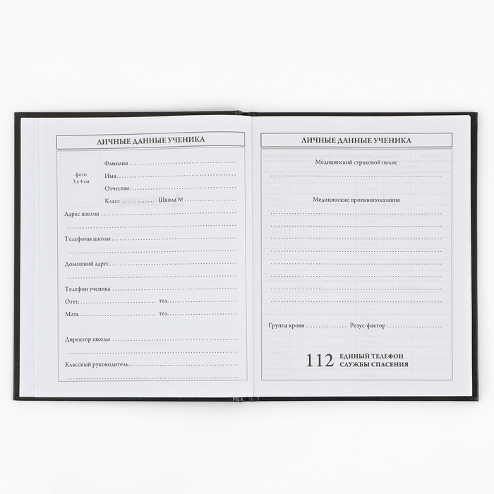 Дневник школьный 1-4 класса, в твердой обложке, 48 л &laquo;Аниме комикс&raquo;