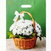 Пакет "Идеальный подарок", полиэтиленовый с вырубной ручкой, 31х40 см, 60 мкм