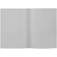 Ежедневник Flat Maxi, недатированный, серый